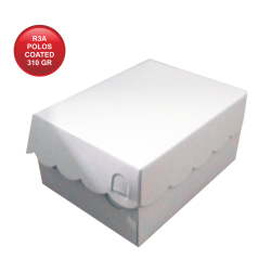 R3A POLOS COATED 310 